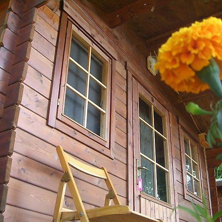 Onur Motel Faralya Luaran gambar