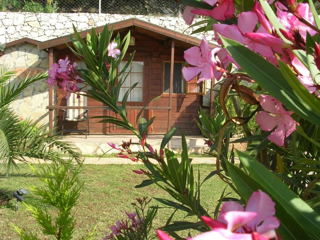 Onur Motel Faralya Luaran gambar